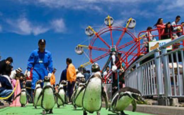 室蘭水族館